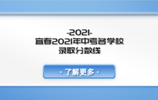 宜春2021年中考各学校录取分数线